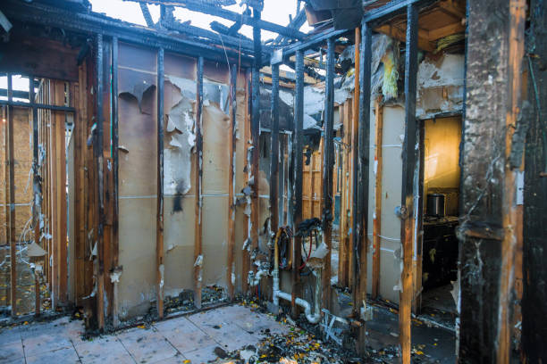 Professional Soot Removal technician working in Forest Hill, MD